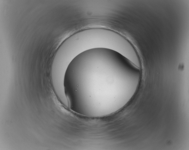 X0000112900385200909181940