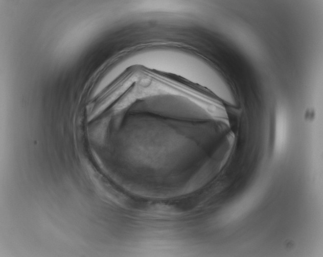 X0000112900387200909181940