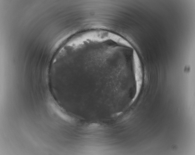 X0000112900390200909181940