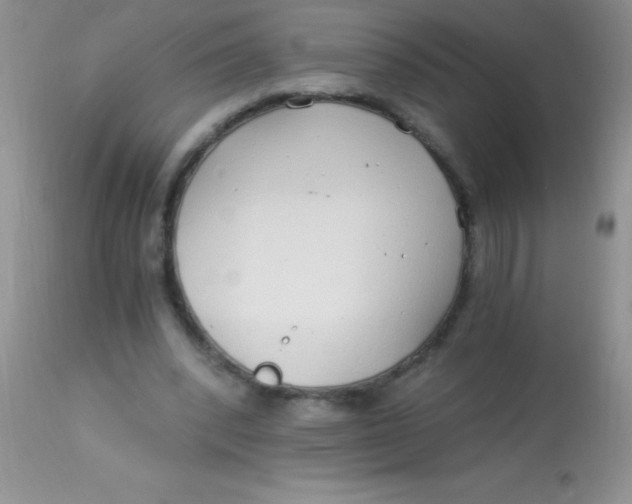 X0000112900392200909181940