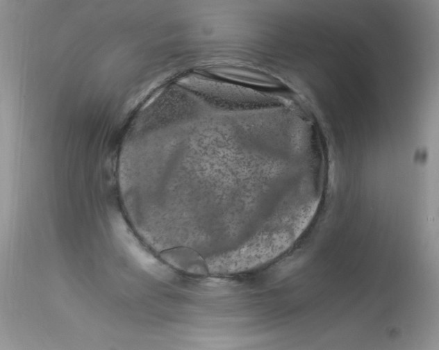 X0000112900393200909181940