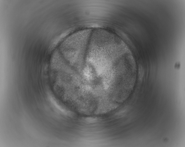 X0000112900394200909181940