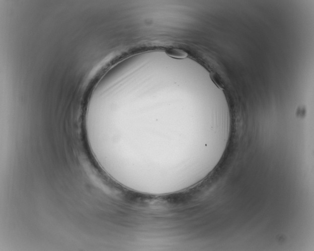 X0000112900395200909181940