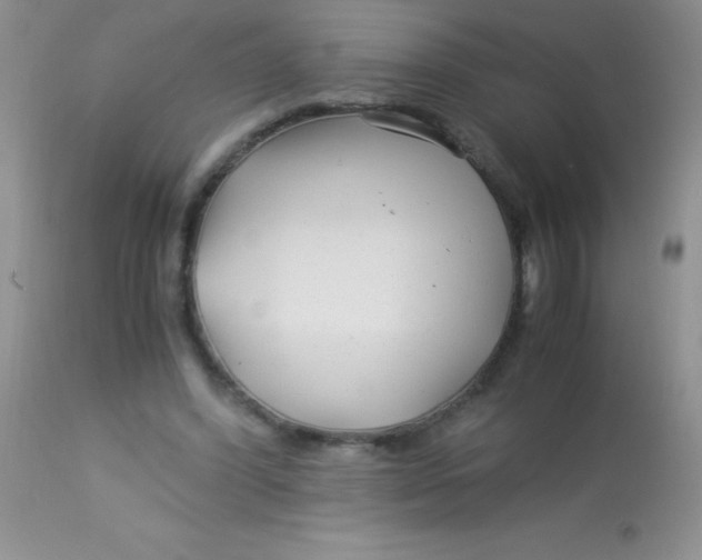 X0000112900396200909181940