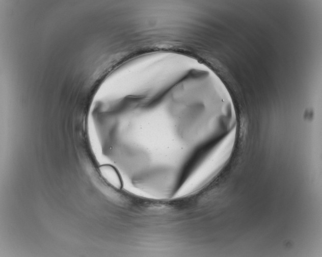 X0000112900397200909181940