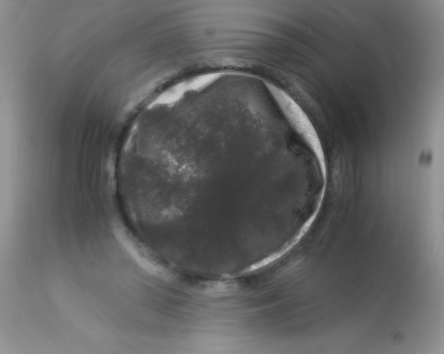X0000112900398200909181940