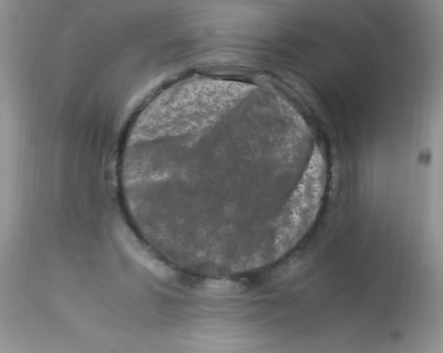 X0000112900399200909181940