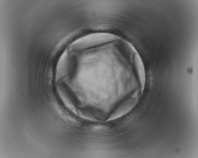 X0000112900400200909181940
