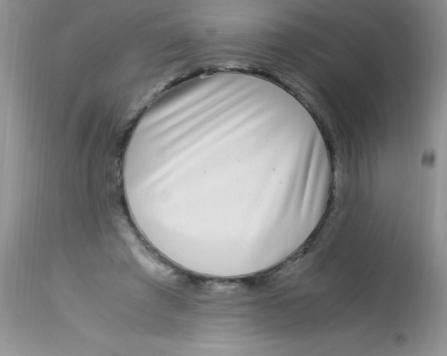 X0000112900401200909181940
