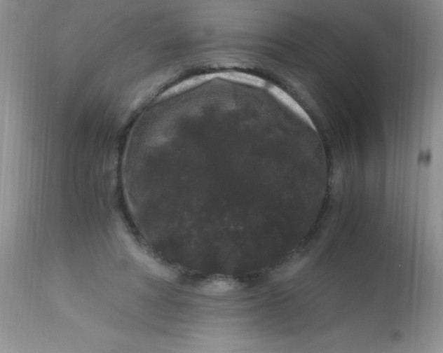 X0000112900402200909181940