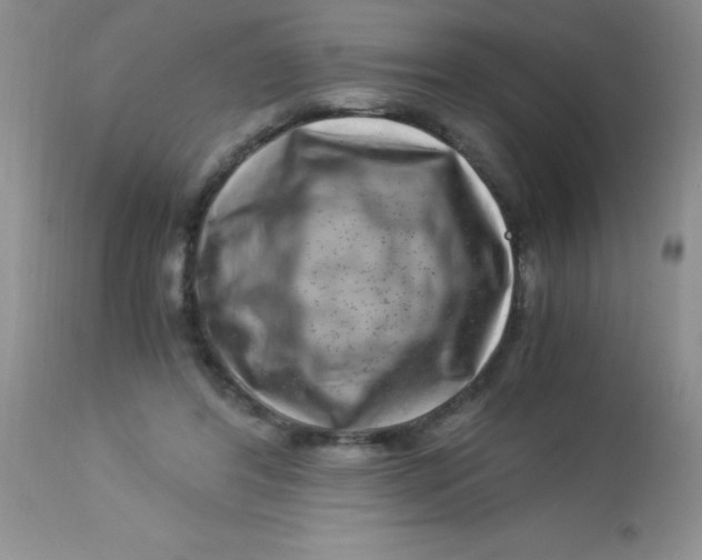 X0000112900404200909181940