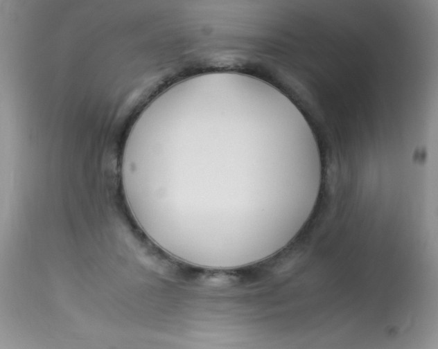 X0000112900407200909181940