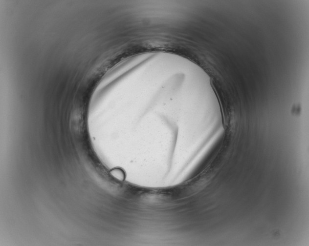 X0000112900408200909181940