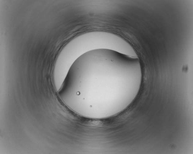 X0000112900409200909181940