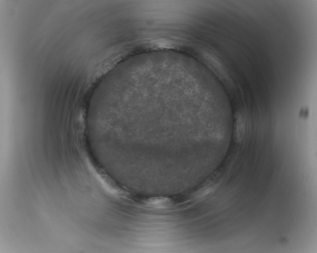 X0000112900410200909181940