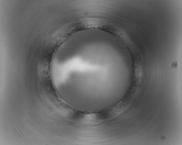X0000112900411200909181940