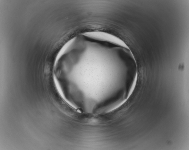 X0000112900412200909181940