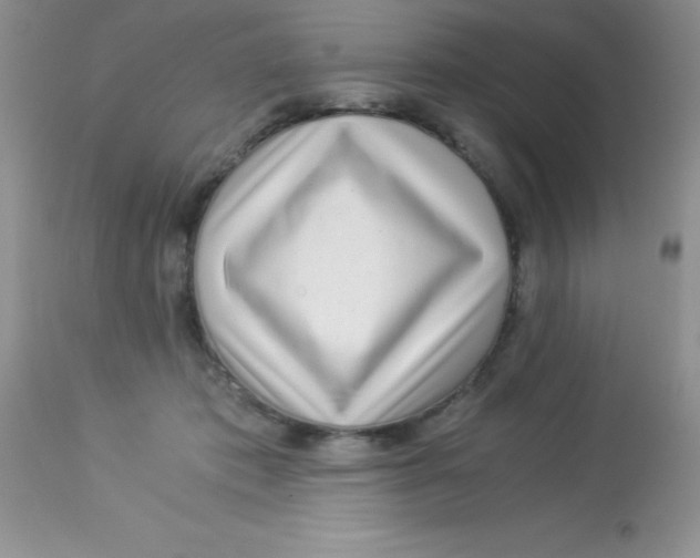 X0000112900413200909181940
