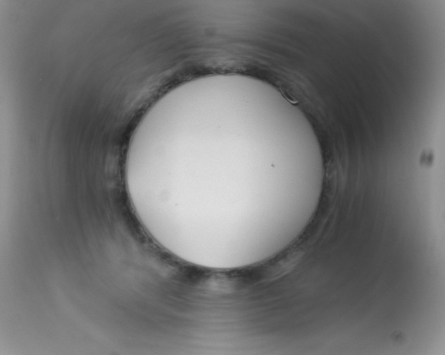 X0000112900416200909181940