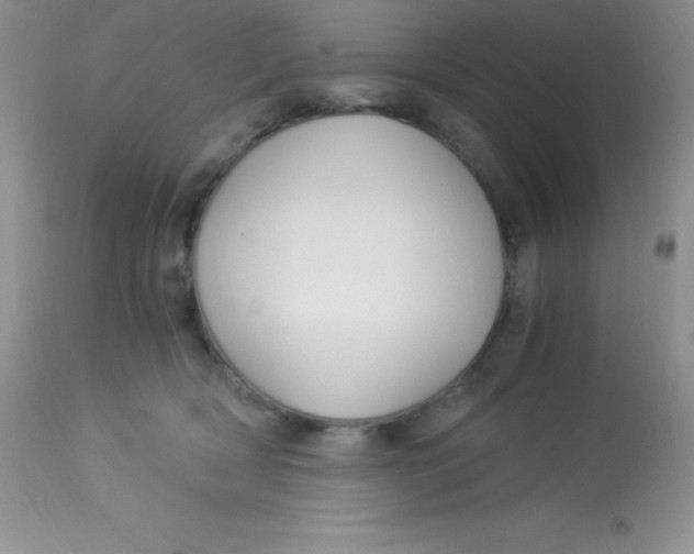 X0000112900418200909181940