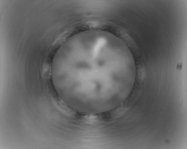 X0000112900419200909181940