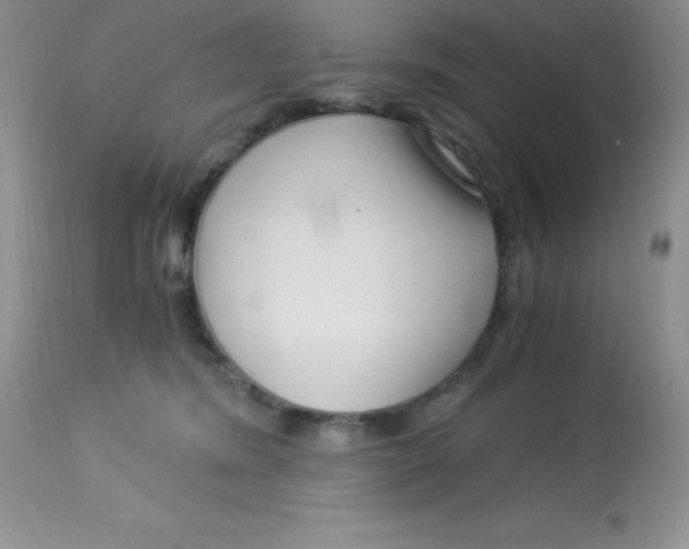 X0000112900420200909181940