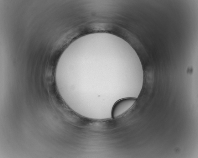 X0000112900422200909181940