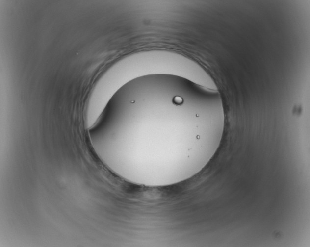 X0000112900423200909181940