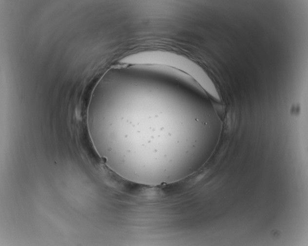 X0000112900424200909181940