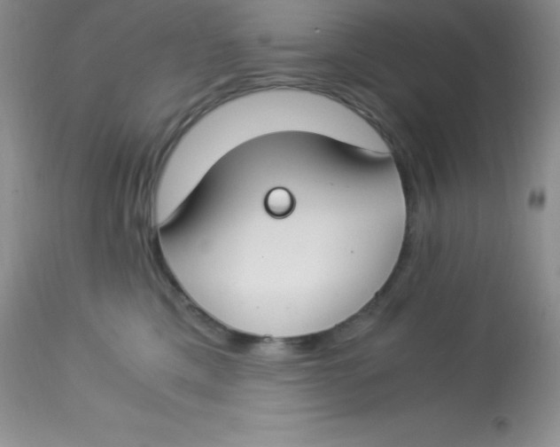 X0000112900425200909181940