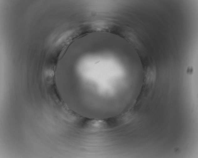 X0000112900427200909181940