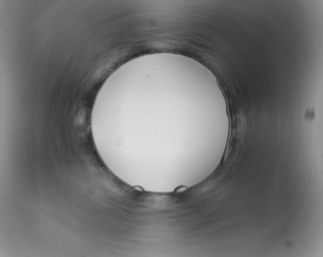 X0000112900428200909181940