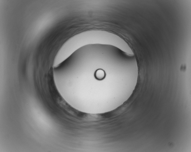 X0000112900429200909181940