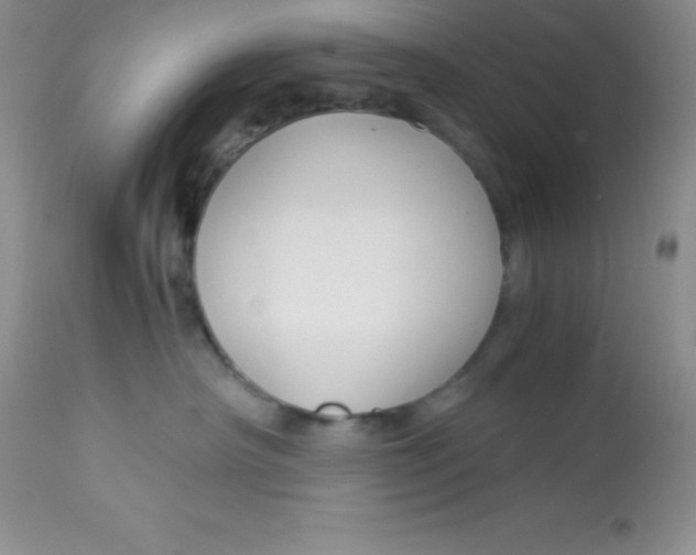 X0000112900430200909181940