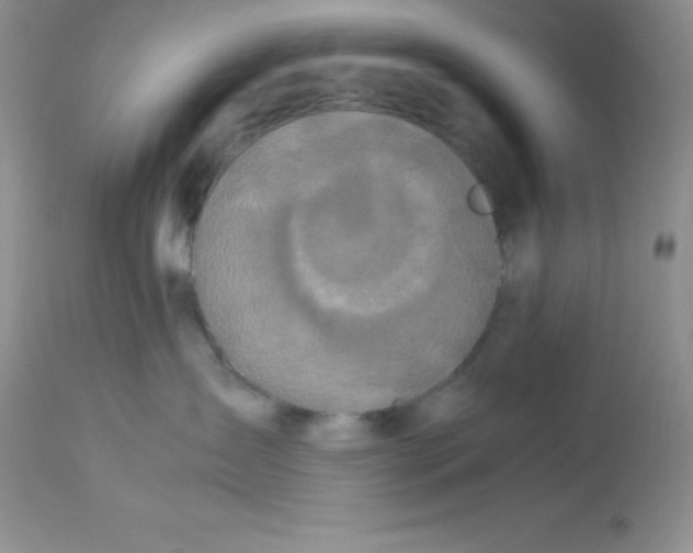 X0000112900431200909181940