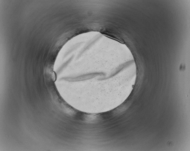 X0000112900432200909181940