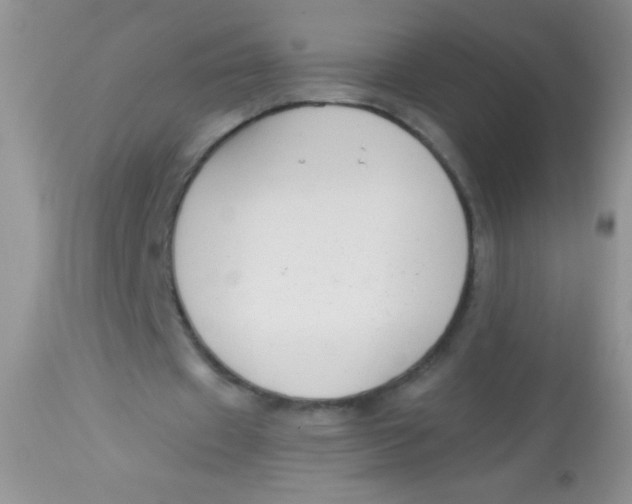 X0000112900433200909181939