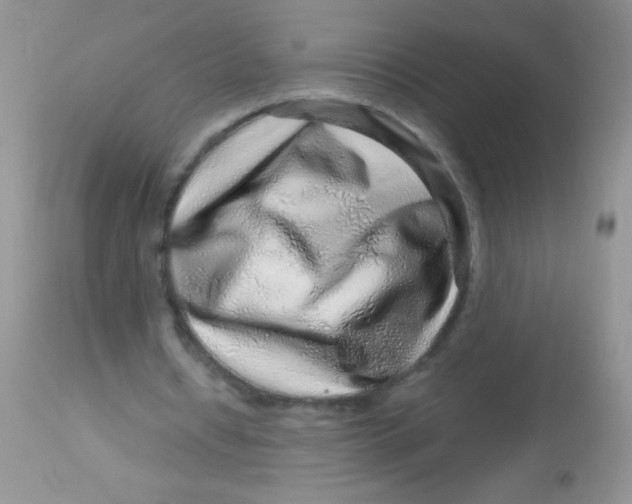 X0000112900434200909181939