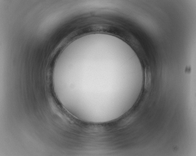 X0000112900435200909181939