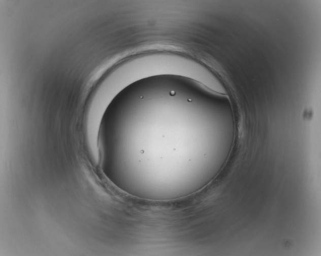 X0000112900436200909181939