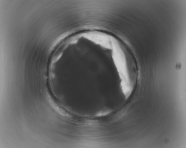 X0000112900438200909181939