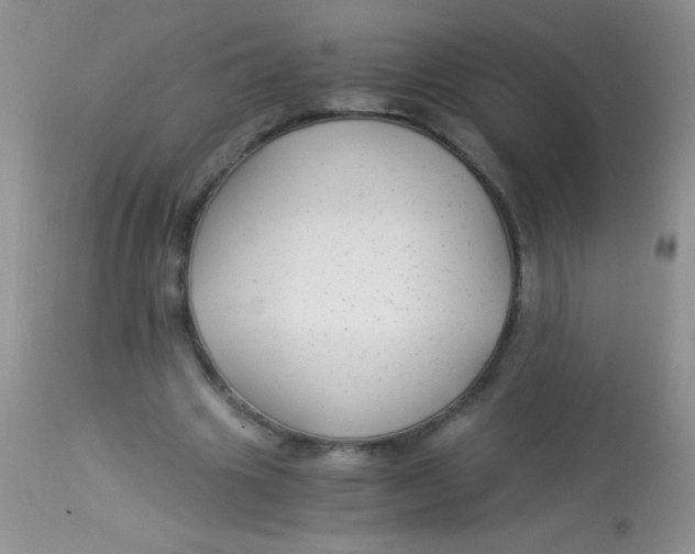 X0000112900441200909181939