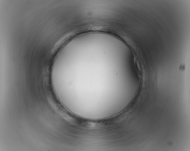 X0000112900442200909181939