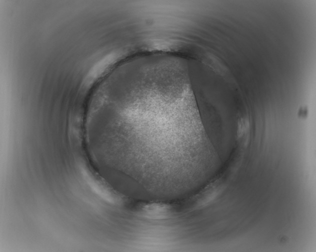 X0000112900444200909181939