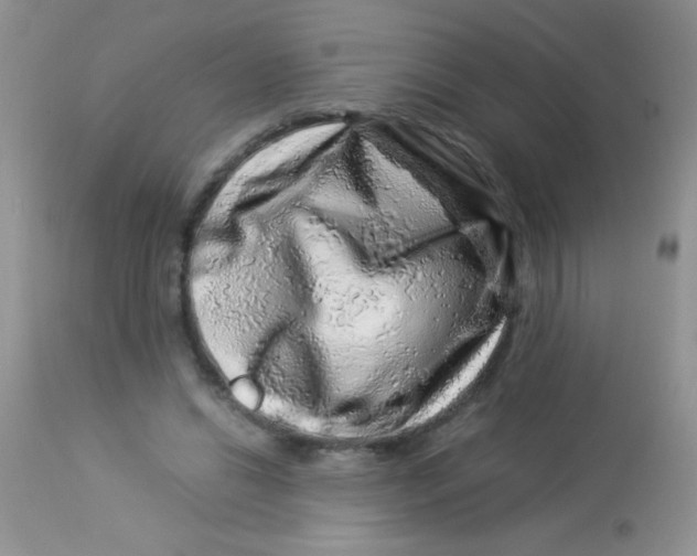 X0000112900446200909181939