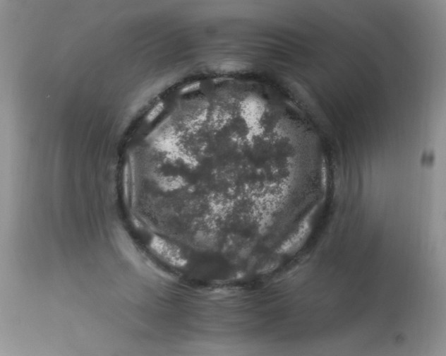 X0000112900447200909181939