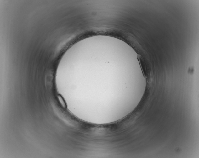 X0000112900448200909181939