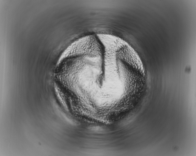 X0000112900449200909181939