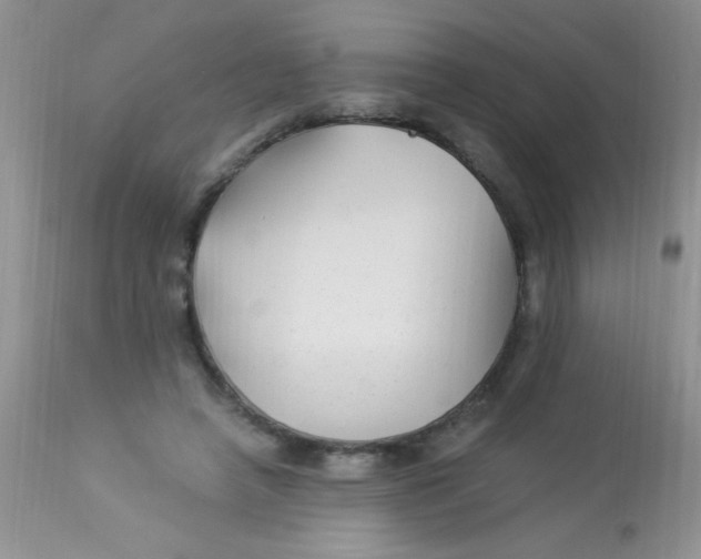 X0000112900450200909181939