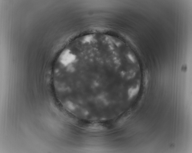 X0000112900451200909181939